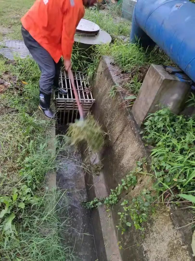 202307062022.jpg 202307062022.jpg